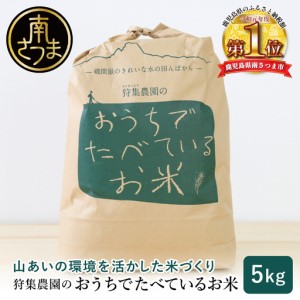 【ふるさと納税】 コシヒカリ 有洗米 白米 5kg うるち米、玄米の商品画像