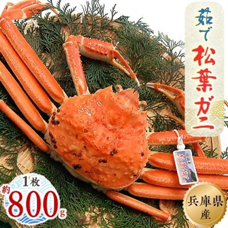 【ふるさと納税】ズワイガニ 姿 1杯 約800g ズワイガニの商品画像