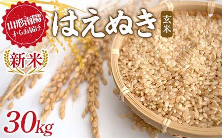ふるさと納税】 はえぬき 有洗米 玄米 30kg うるち米、玄米 - 最安値