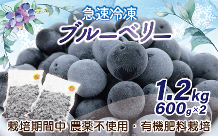 fu.... tax sudden speed freezing! cultivation period middle pesticide un- use blueberry 600g×2 pack total 1.2kg[F4005] Fukuoka prefecture luck Tsu city 