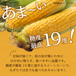 fu.... tax (2024 fiscal year delivery minute ) corn [....] 6ps.@(2024 year 6 month on .~ last third .... sequential delivery expectation ) Yamanashi prefecture Koufu city 