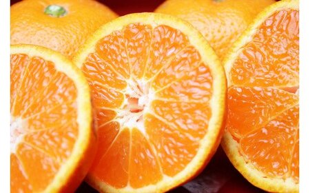 【ふるさと納税】みかん 訳あり品 サイズおまかせ 10kg台 みかん、柑橘類の商品画像