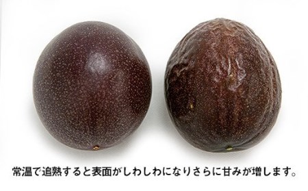 fu.... tax [2024 year shipping ] Tsu . mountain passionfruit approximately 1kg Okinawa prefecture south manner . block 