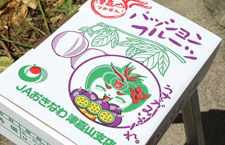 fu.... tax [2025 year shipping ] Nankoku. fruit passionfruit 2kg.. for Okinawa prefecture south manner . block 