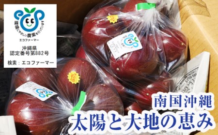fu.... tax [2024 year shipping ] passionfruit 2kg home use Okinawa prefecture south manner . block 