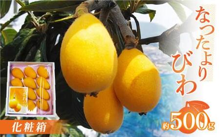 fu.... tax ..... loquat vanity case approximately 500g[2024 year 5 month middle .~2024 year 6 month middle . delivery ][T006-154] Kagawa prefecture Takamatsu city 