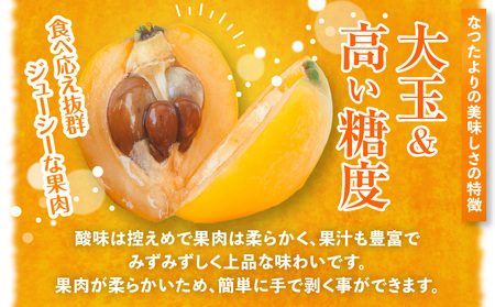 fu.... tax ..... loquat vanity case approximately 500g[2024 year 5 month middle .~2024 year 6 month middle . delivery ][T006-154] Kagawa prefecture Takamatsu city 