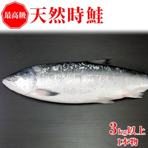fu.... tax [ preceding reservation ] salmon top class natural hour salmon 1 genuine article * put on day designation un- possible (2024 year 6 month on and after shipping expectation )[..... tax popular recommendation ranking ..sa.. Hokkaido net mileage city 