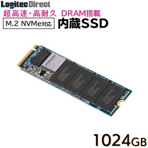 fu.... налог [076-01] Logitec DRAM установка встроенный SSD M.2 NVMe соответствует 1024GB данные . line soft есть [LMD-MPDB1024] Nagano префектура .. город 