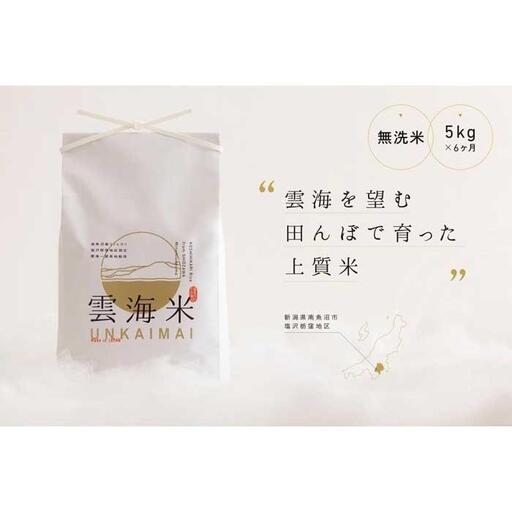 【ふるさと納税 定期便】 コシヒカリ 無洗米 白米 5kg 全6回（計30kg） うるち米、玄米の商品画像