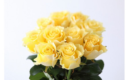 fu.... tax [ fixed period flight :12 months ]. branch rose . from direct delivery!Flower Bouquet(15ps.@. bouquet ) yellow series Shiga prefecture . mountain city 