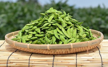 fu.... налог 75E-19 Niigata префектура Nagaoka производство ветка бобы 2.0kg[. бобы 250g×8 пакет ввод ] Niigata префектура Nagaoka город 