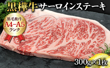 fu.... tax FKK19-736 every month reach! Suntory The * premium *morutsu. sirloin steak fixed period flight (12 times course ) Kumamoto prefecture . island block Kumamoto prefecture . island block 