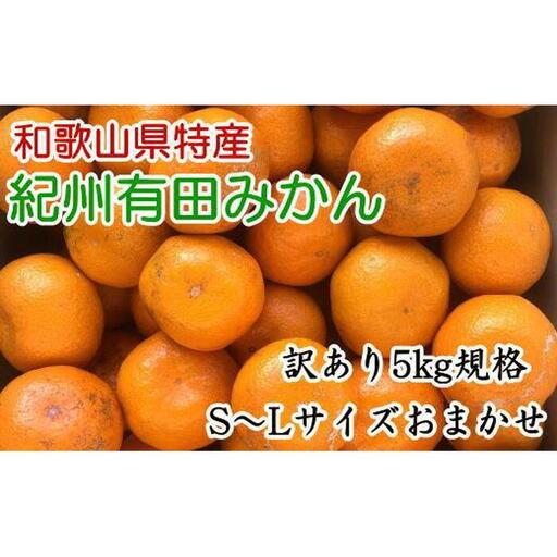 【ふるさと納税】みかん 訳あり品 サイズ表記あり 5kg台 みかん、柑橘類の商品画像