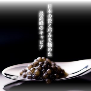 fu.... налог 1983 J.CAVIAR BAERII Salt Rich (20g) N027-ZD085 Miyazaki префектура . холм город 