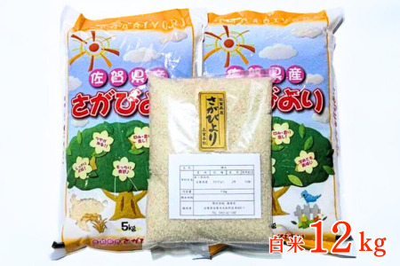 【ふるさと納税】 さがびより 有洗米 白米 12kg うるち米、玄米の商品画像