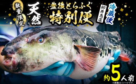 fu.... tax limited amount!. after water service natural .... special flight ( approximately 5 portion ).. fugu .... fillet leather ala tecchiri saucepan saucepan .. Tang .. fugusashi fugu ... Ooita prefecture .. city 