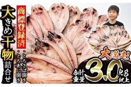 fu.... tax No.406 largish dried food ...< total 3kg and more > dried food set assortment string. seafood fish side dish snack pleasure [.. . food ] Kagoshima prefecture day . city 