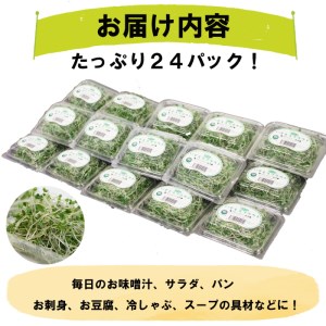 fu.... tax ... sprouts 24 pack set ( broccoli )[1-265] Shimane .. city 