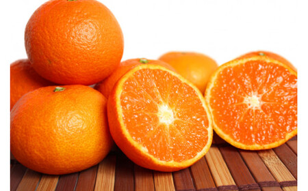 【ふるさと納税】みかん 通常品 サイズおまかせ 5kg台 みかん、柑橘類の商品画像