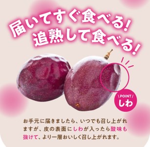 fu.... tax Amami passionfruit A goods 12 sphere go in vanity case ( approximately 1kg) - passionfruit A goods approximately 1kg 12 sphere 2L L size Amami Amami Ooshima production .. for ... Kagoshima prefecture Amami city 