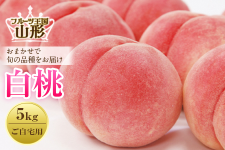 fu.... tax { preceding reservation } fruit kingdom Yamagata white peach 5kg. home for FSY-0425 Yamagata prefecture 