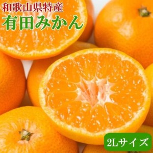 【ふるさと納税】みかん 秀品 サイズ表記あり 4kg台 みかん、柑橘類の商品画像