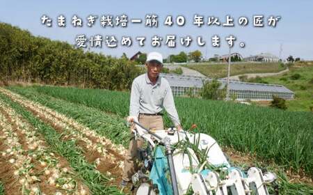 fu.... налог [ новый лук репчатый ][ перевод есть ] сейчас . ферма. Awaji Island лук репчатый 5kg[ размер смешивание S~2L][ отправка время :2024 год 4 месяц последняя декада ~6 месяц сверху . примерно ] Hyogo префектура .. город 