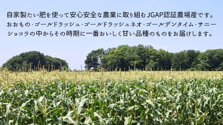 fu.... tax [2024 year preceding reservation ] Ibaraki prefecture Sakura river city production agriculture house direct delivery morning .. corn 10~1 2 ps approximately 4kg 2L size and more ( 2024 year 7 month on . shipping beginning ).. Ibaraki prefecture Sakura river city 