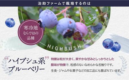 fu.... tax [ preceding acceptance :2024 year shipping ] fresh [ raw ] blueberry 500g(250g×2 pack )( cultivation middle pesticide un- use ) [.. farm LJ001] Gifu prefecture height mountain city 