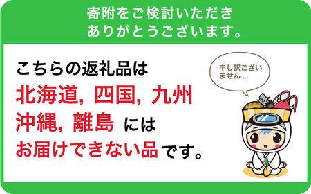 fu.... tax [ preceding acceptance limited amount ]{ with translation } production person direct delivery .. loquat 1 kilo sack entering ( somewhat .. equipped )2024.5 month last third .. delivery mi0044-0013 Chiba prefecture south . total city 