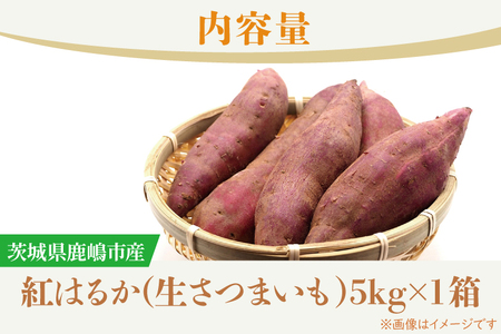 fu.... tax [ preceding reservation ][10 month middle .~11 end of the month shipping goods ][ normal cultivation ]. is .._ raw sweet potato (5kg) (KAG-36 ) Ibaraki prefecture deer . city 