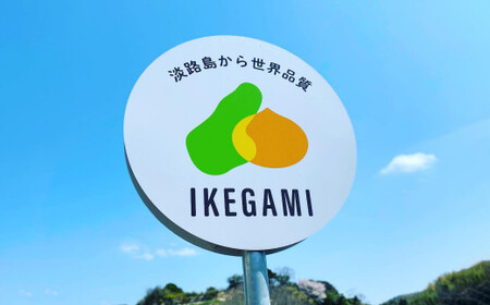 fu.... налог [ установленный срок рейс ] Awaji Island Ikegami сельское хозяйство место. .. лук репчатый [....]12 месяцев course Hyogo префектура .. город 