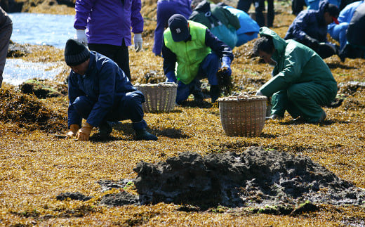 fu.... tax Chiba prefecture Kamogawa city [.... hijiki ].. hijiki virtue for 500g recipe compilation attaching! [0020-0042]