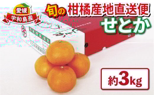 【ふるさと納税】みかん 通常品 サイズおまかせ 3kg台 みかん、柑橘類の商品画像