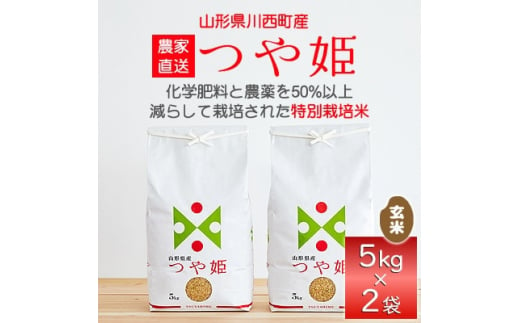 【ふるさと納税】 つや姫 有洗米 玄米 10kg うるち米、玄米の商品画像