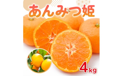 【ふるさと納税】みかん 通常品 サイズ表記あり 5kg台 みかん、柑橘類の商品画像