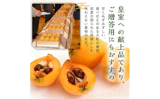 fu.... tax Chiba prefecture south . total city [ preceding acceptance 2024 year 5 month last third from delivery ].. loquat (. ground )12 bead go in 2L size and more 1 box mi0010-0010