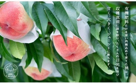 fu.... tax Gifu prefecture height mountain city ... . from .. special selection sugar times 13 times and more (4-6 sphere )*7 month middle .~ sequential delivery | peach morning .. white peach .. fruit gift fruit popular incidental...