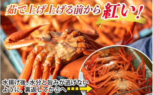 fu.... tax Toyama slide river city [ preceding reservation ] Boyle red snow crab refrigeration delivery [( have )kanetsuru sand . shop ]* before shipping staying home verification. telephone contact . do!