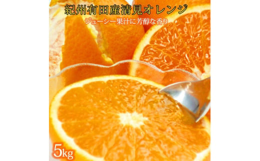 【ふるさと納税】清見タンゴール（清見オレンジ）通常品 サイズおまかせ 5kg台 みかん、柑橘類の商品画像