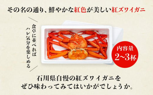 fu.... tax Ishikawa prefecture Kanazawa city [ with translation ] Kanazawa direct delivery! Boyle red snow crab 2~3 cup set snow crab . crab crab repeat Ishikawa .. support Hokuriku .. Hokuriku support 