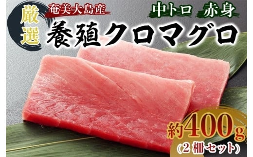 【ふるさと納税】 マグロ セット 約400g マグロ（生魚）の商品画像