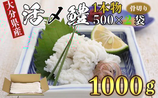 【ふるさと納税】魚、鮮魚 はも 1kg台