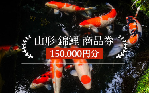fu.... налог Yamagata префектура Yamagata город Yamagata цветной карп товар талон 150,000 иен минут FY21-490