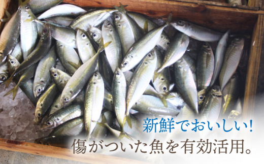 fu.... tax Nagasaki prefecture small price . block [ all 3 times fixed period flight ]. island no fish sauce 60ml 3 kind × 2 ps ( blue fish * white body fish * squid ) 6 pcs set {factory333} [DAS009] fish? seasoning . taste sauce...