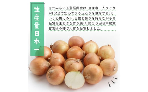 fu.... tax vegetable kind sphere leek Hokkaido north see city Japan agriculture . large . winning JA..... from direct delivery make ... beautiful taste .. fresh sphere leek 20kg L size ( onion vegetable Hokkaido sphere...