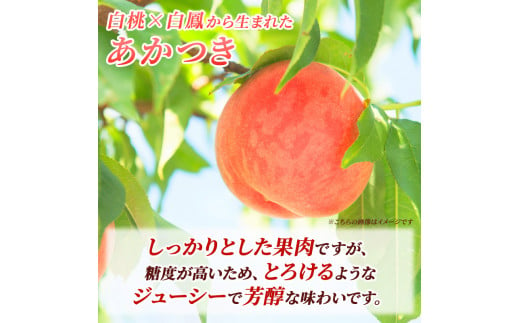fu.... tax Nagano prefecture small various city ..... tax preceding reservation 2024 year shipping . interval water molasses peach ..... .... attaching preeminence goods approximately 5kg Nagano prefecture production small various city peach fruit .. peach fruit...