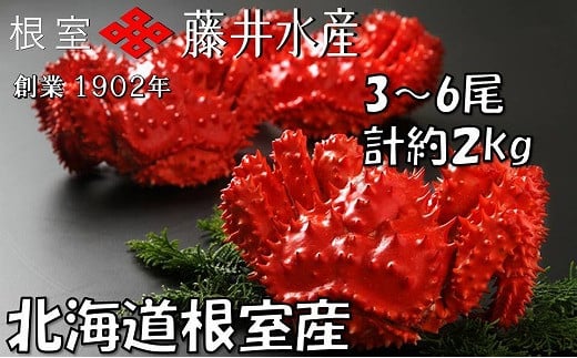 fu.... налог краб цветок .gani Hokkaido корень . город B-42088 Hokkaido корень . производство Boyle цветок . краб 3~6 хвост ( итого примерно 2kg)