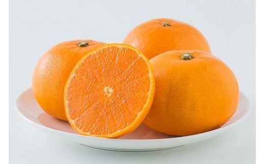 【ふるさと納税】みかん 秀品 サイズ表記あり 5kg台 みかん、柑橘類の商品画像